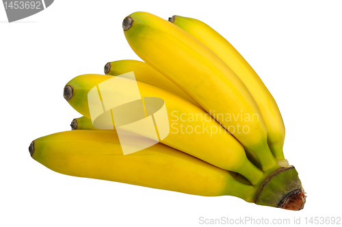 Image of branch of bananas