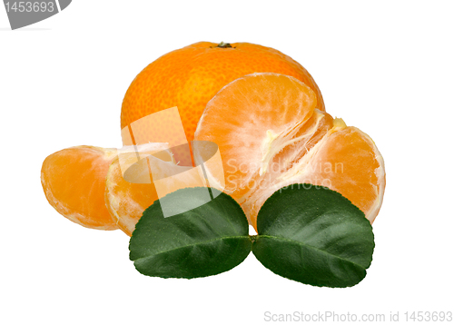 Image of tangerines with leaves