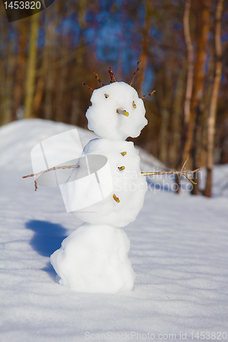 Image of snowman