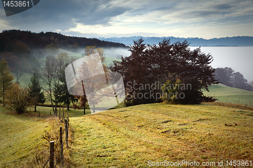 Image of autumn scenery
