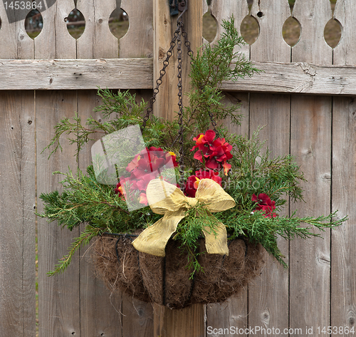 Image of Outdoor Holiday Hanging Basket