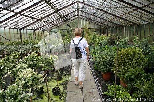 Image of Greenhouse