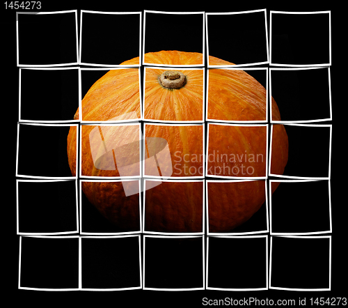 Image of pumpkin