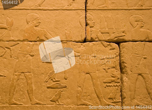 Image of Ancient egyptian hieroglyphs