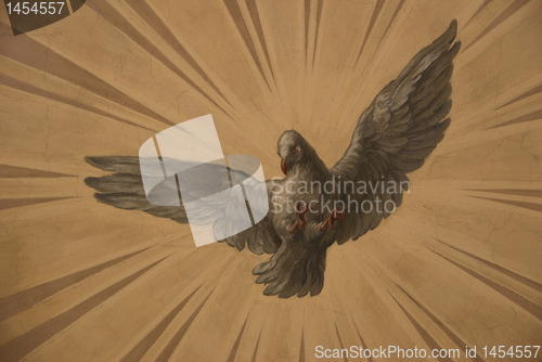 Image of Dove on the sun rays