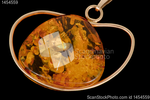 Image of Amber closeup