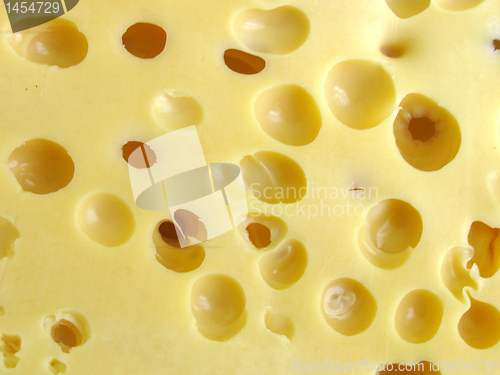 Image of cheese