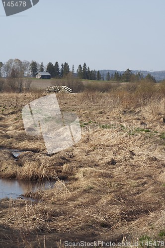 Image of Spring landscape