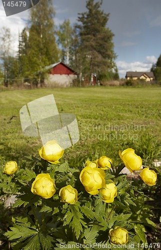 Image of Spring landscape