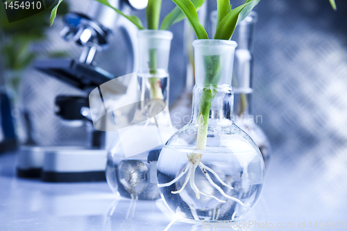 Image of Plant laboratory