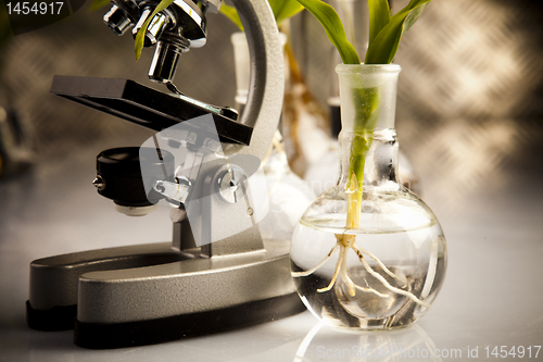 Image of Laboratory glass  