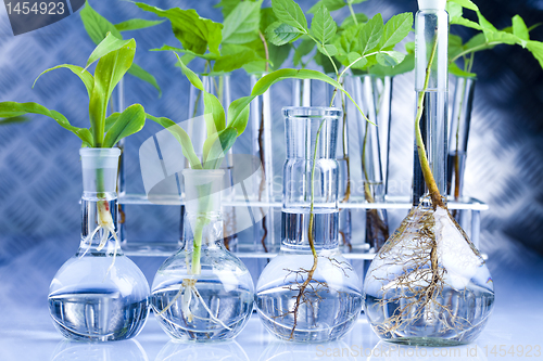 Image of Plant laboratoryption