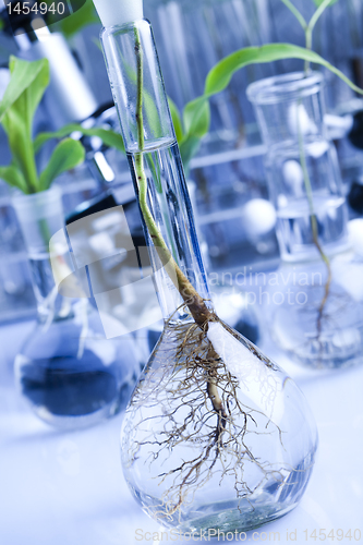 Image of Plant laboratory