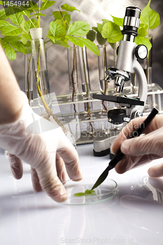 Image of Plant laboratory