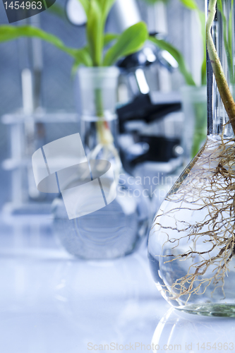 Image of Plant laboratory