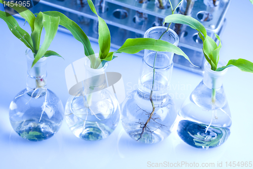 Image of Plant laboratory