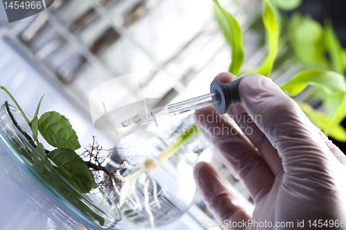 Image of Floral science in  laboratory 