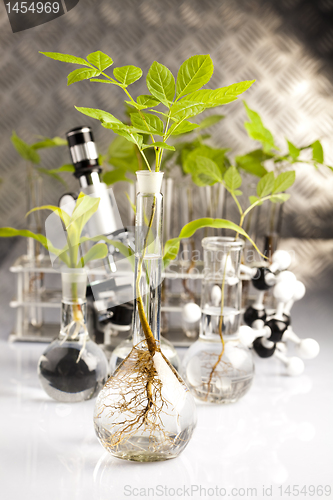 Image of Floral science in  laboratory 