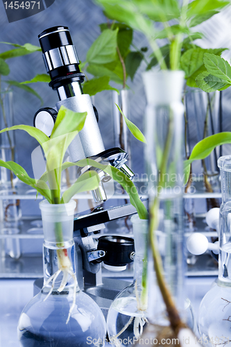 Image of Plant laboratory