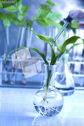 Image of Plant laboratory