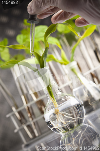 Image of Plants and laboratory 