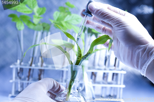 Image of Plant laboratory