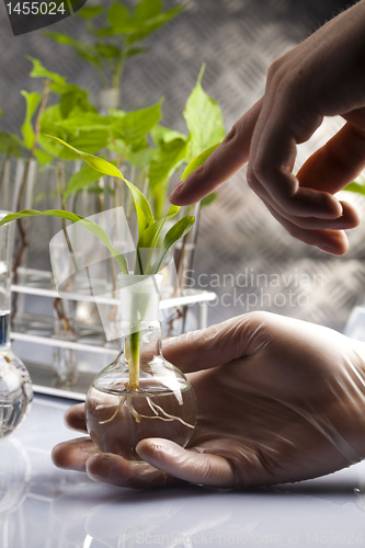 Image of Plant laboratory