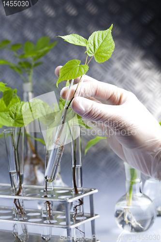 Image of Plant laboratory