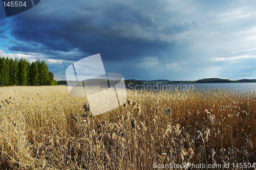 Image of Before the summer storm