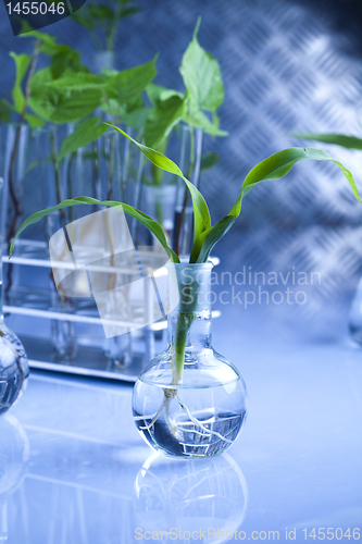 Image of Plant laboratory