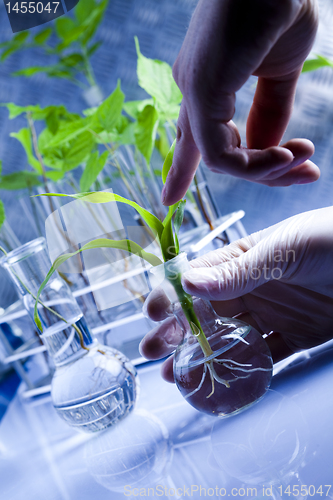 Image of Plants and laboratory 