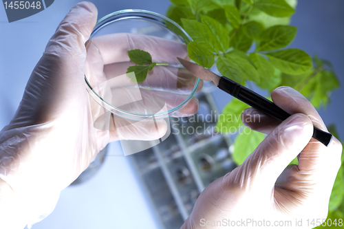 Image of Plants and laboratory 