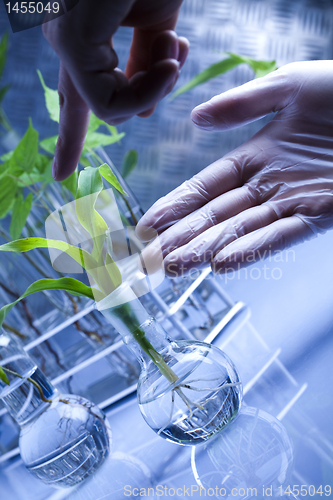 Image of Plant laboratory