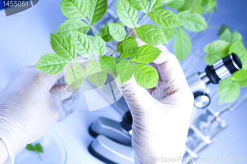 Image of Plants and laboratory 