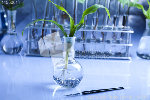 Image of Plants and laboratory 