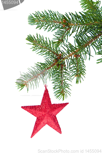 Image of red christmas star hanging from tree