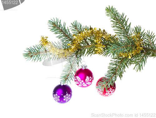 Image of christmas balls on spruce branch