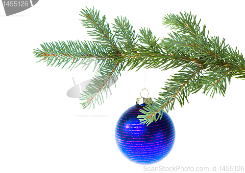 Image of christmas ball on branch