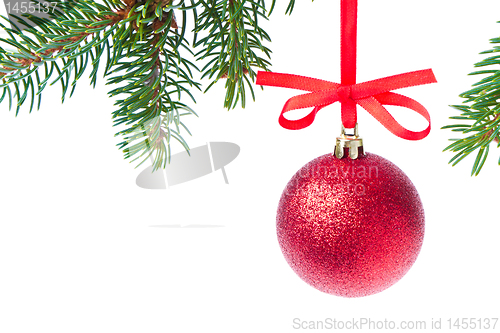 Image of red christmas ball hanging from tree