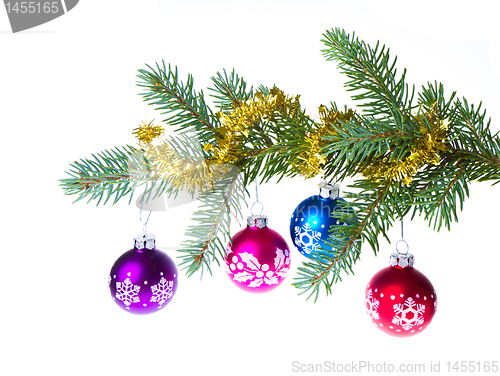 Image of christmas balls on spruce branch
