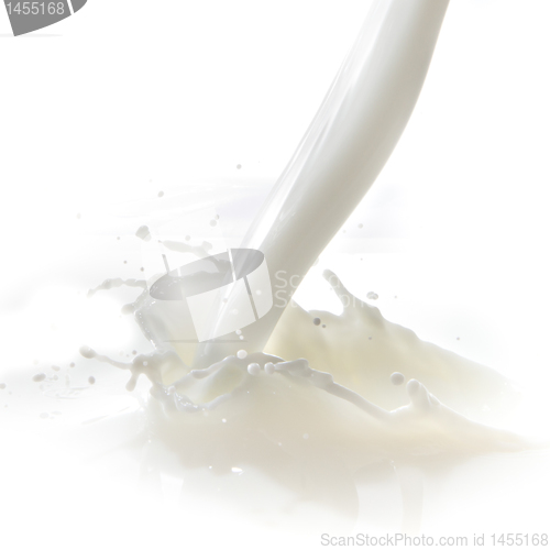 Image of milk splash