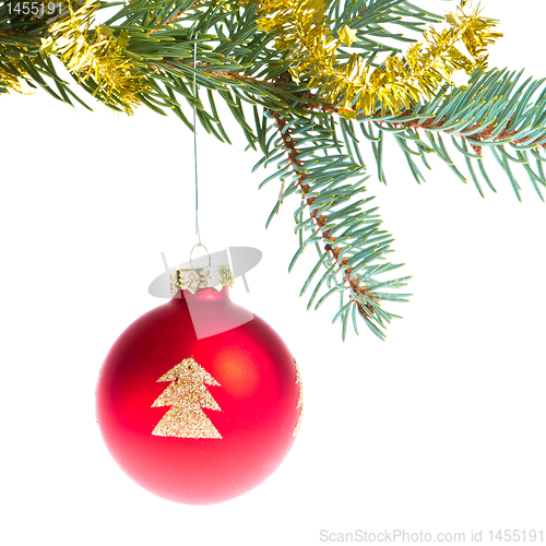 Image of red christmas ball on branch