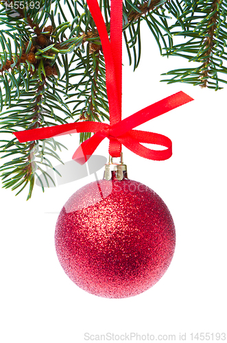 Image of red christmas ball hanging from tree