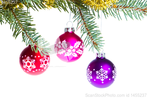 Image of christmas balls on spruce branch
