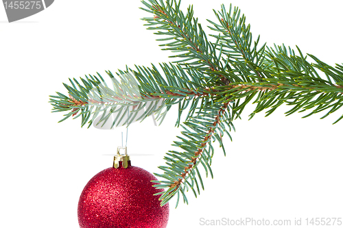 Image of red christmas ball hanging from tree