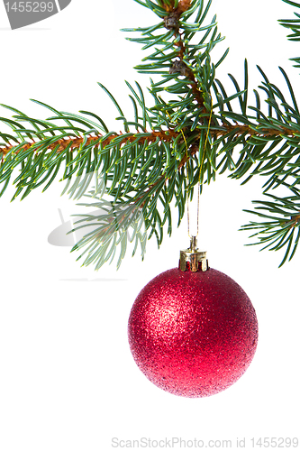 Image of christmas ball on branch