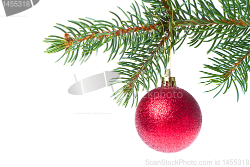 Image of christmas ball on branch