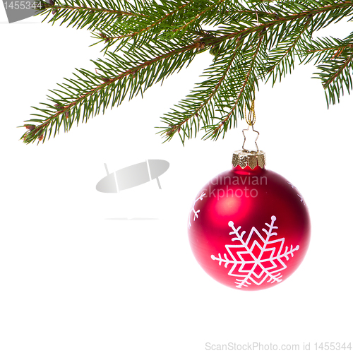 Image of red ball hanging from spruce christmas tree