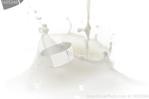 Image of milk splash