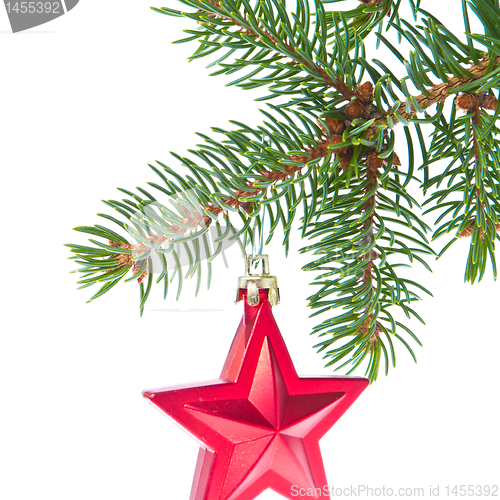 Image of red christmas star hanging from tree